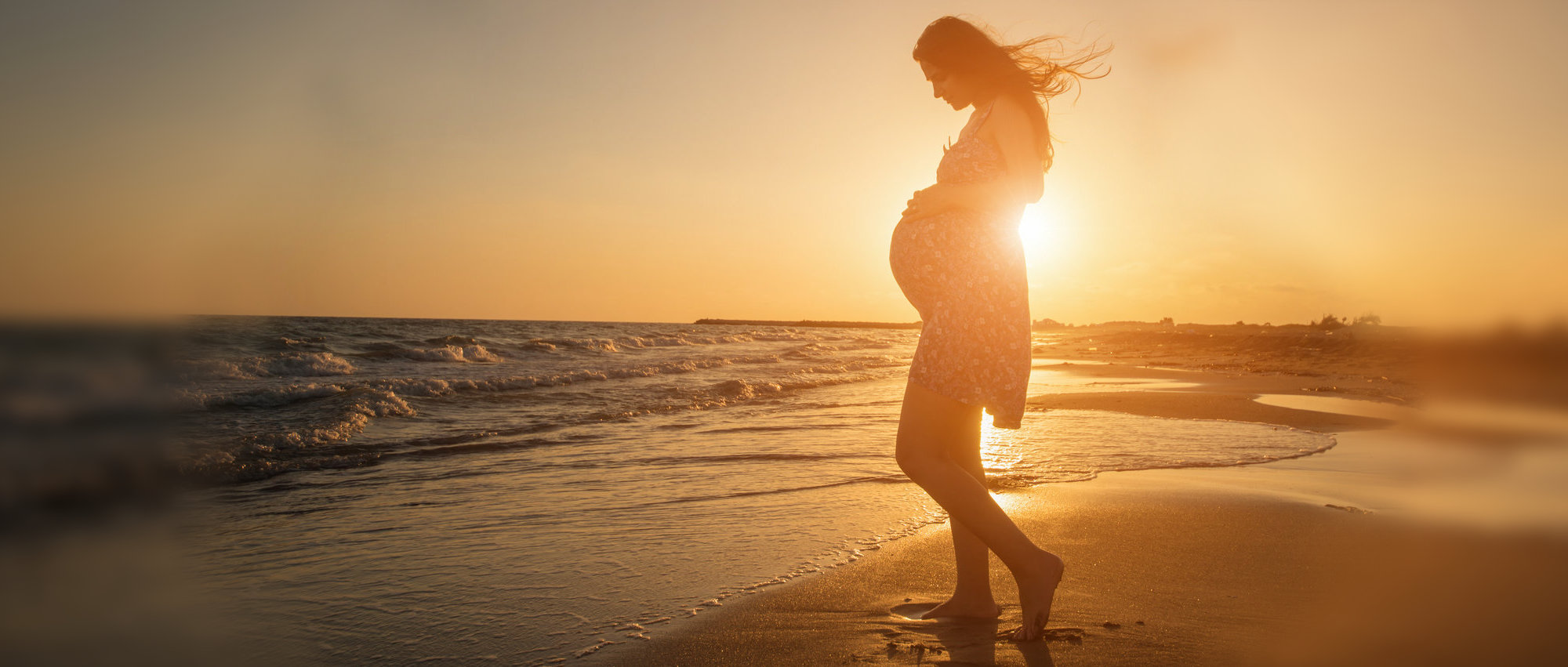schwangerschaftsrechner geburtstermin rechner gravidarium